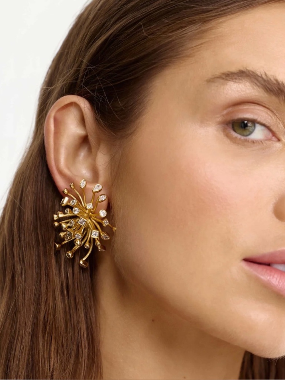Acler Damon earrings